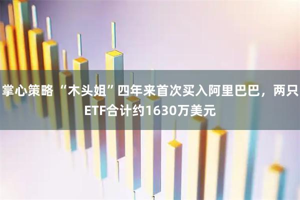 掌心策略 “木头姐”四年来首次买入阿里巴巴，两只ETF合计约1630万美元