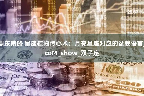 鼎东策略 星座植物传心术：月亮星座对应的盆栽语言_coM_show_双子座