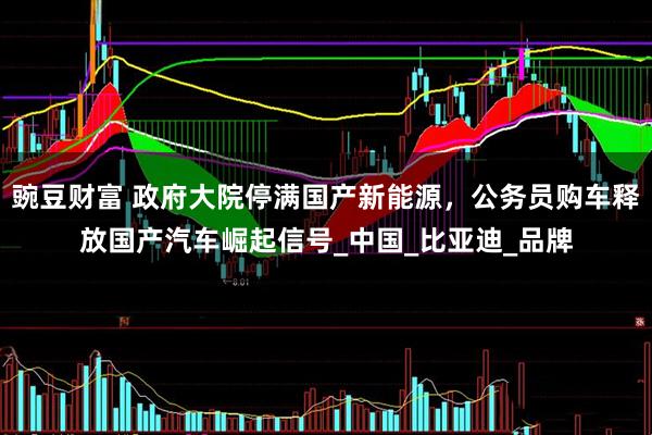 豌豆财富 政府大院停满国产新能源，公务员购车释放国产汽车崛起信号_中国_比亚迪_品牌