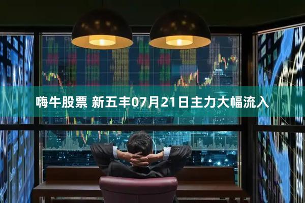 嗨牛股票 新五丰07月21日主力大幅流入