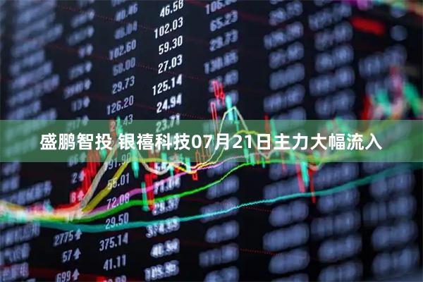 盛鹏智投 银禧科技07月21日主力大幅流入