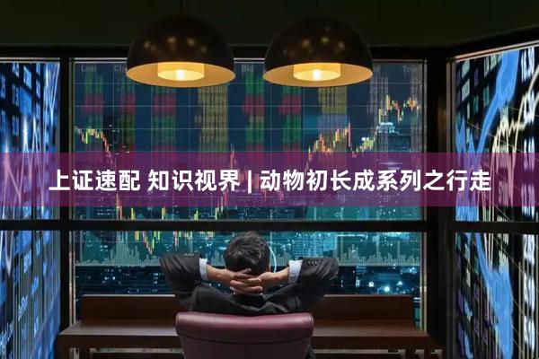 上证速配 知识视界 | 动物初长成系列之行走