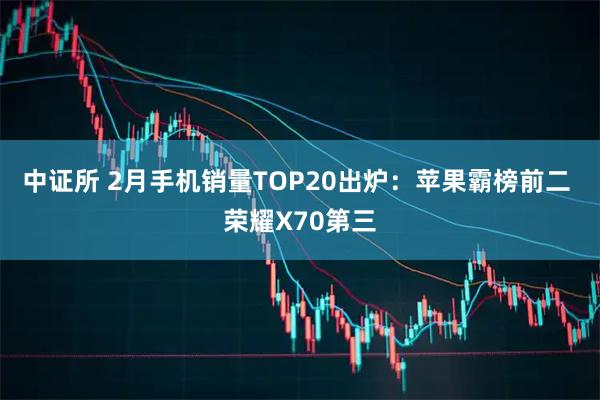中证所 2月手机销量TOP20出炉：苹果霸榜前二 荣耀X70第三