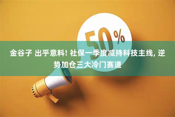 金谷子 出乎意料! 社保一季度减持科技主线, 逆势加仓三大冷门赛道
