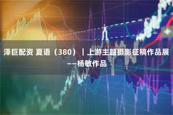 泽巨配资 夏语（380）｜上游主题摄影征稿作品展——杨敏作品