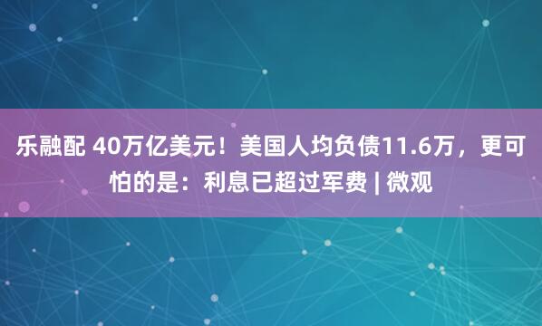 乐融配 40万亿美元！美国人均负债11.6万，更可怕的是：利息已超过军费 | 微观
