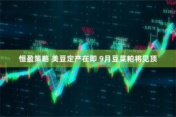 恒盈策略 美豆定产在即 9月豆菜粕将见顶