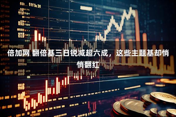 倍加网 翻倍基三日锐减超六成，这些主题基却悄悄翻红